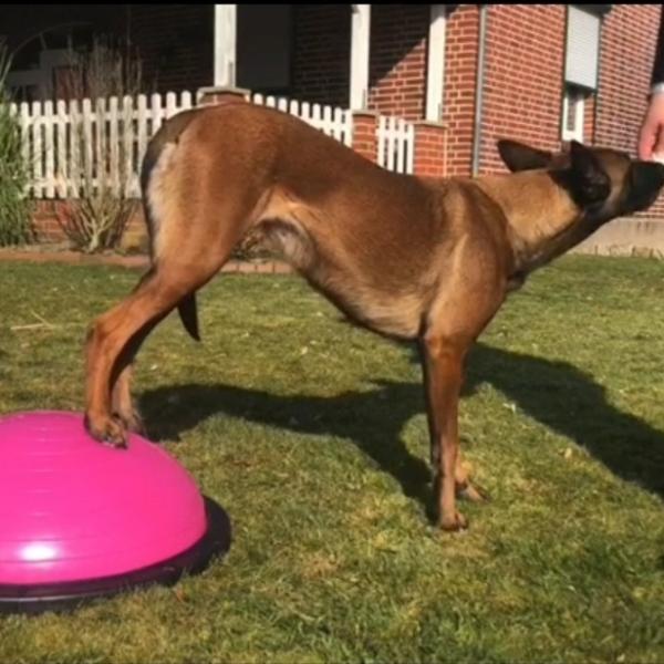 KRAFT & KOORDINATION