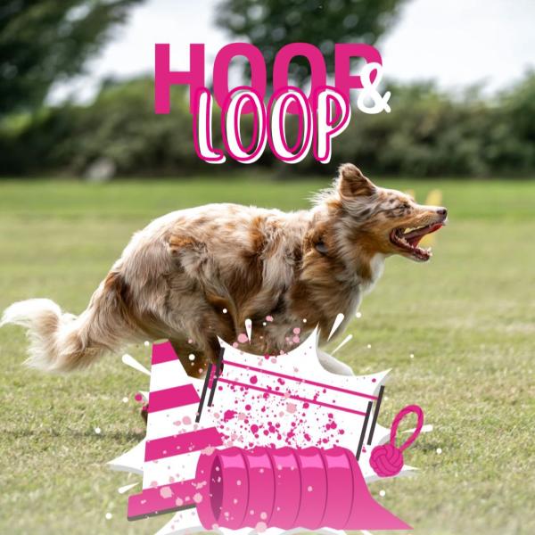 Hoop & Loop
