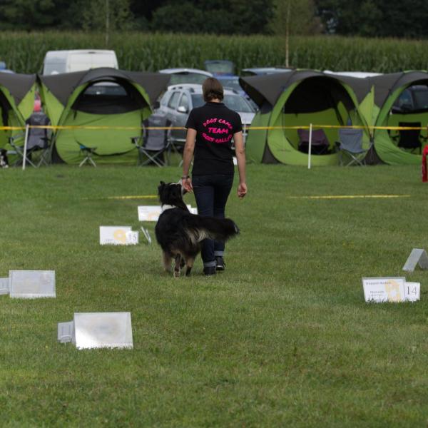 MSÜ (Mehr Schild Übungen) Rally Obedience