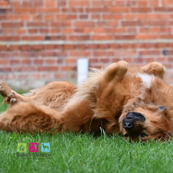 Einzelteilnahme FAIRplay