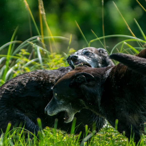 Intensiv-Seminar Team Soziale Mitte Visionär mit Unterstützer