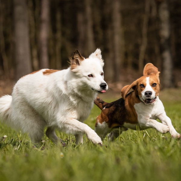 Intensiv-Seminar Team Soziale Mitte Visionär mit Botschafter