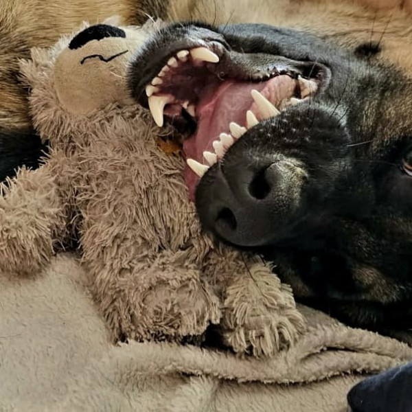 HSS®-Führungs-Seminar für selbstständige Partner Botschafter und Eroberer