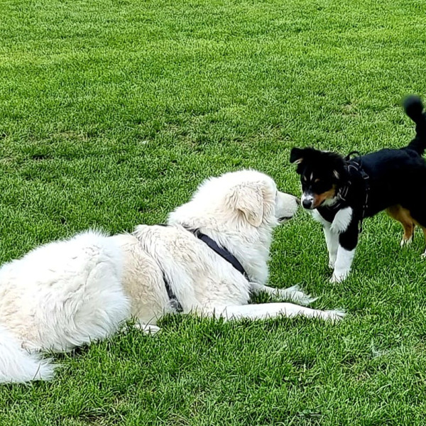 Intensiv-Seminar Team Außenfokus Stratege mit Eroberer
