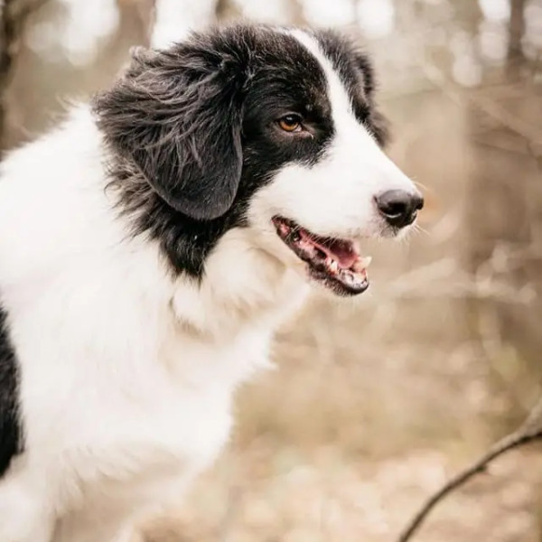 HSS®-Führungs-Seminar für Strategen und Denker