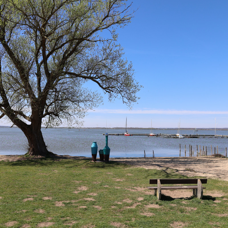 Wander- & Kanutour um und auf dem Dümmer