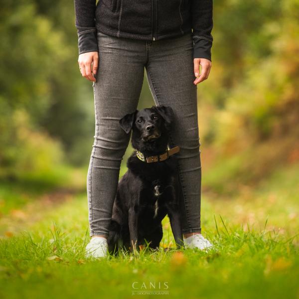 Valentins-Spaziergang für Mensch und Hund 💖