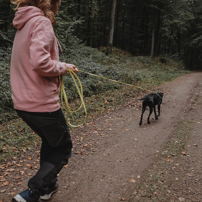 Mantrailing - offene Stunde bei Jenny
