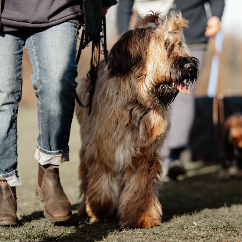 Social Walk – offene Gruppe bei Sabrina