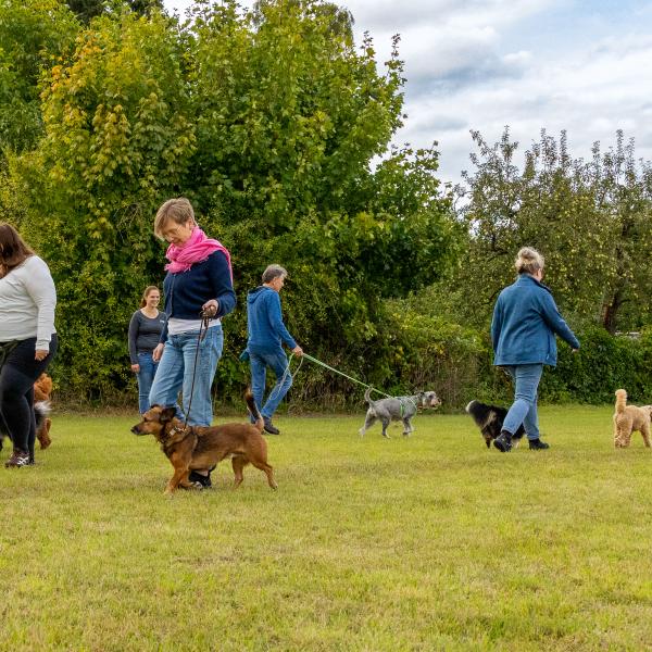 Always-Together Profis