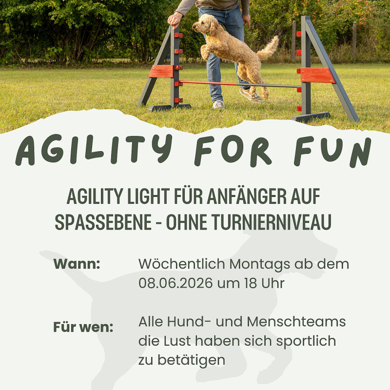 Agility for fun