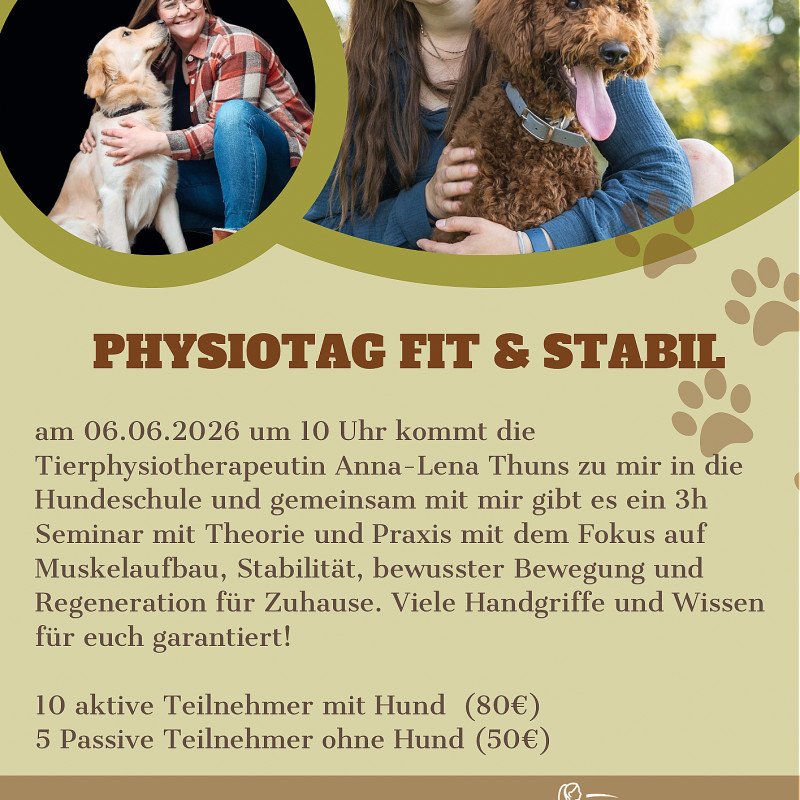 Physiotag Fit & stabil