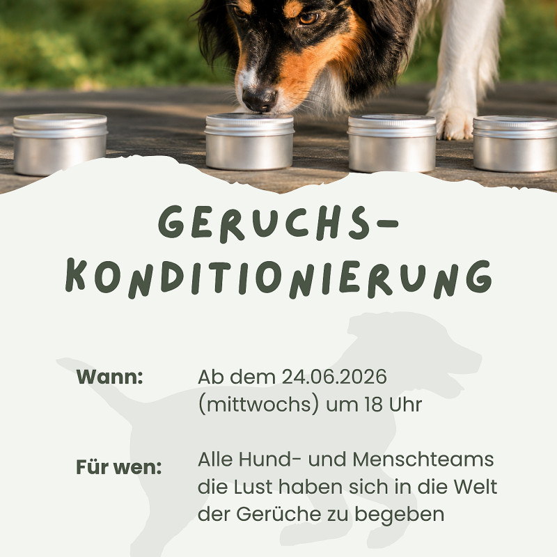 Schnüffelhelden