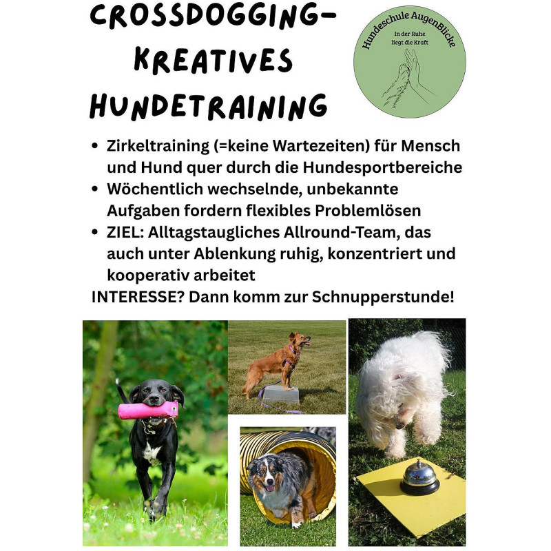 Schnupperstunde Crossdogging