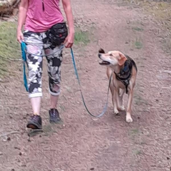 Leinenführigkeit Teil 1 und 2