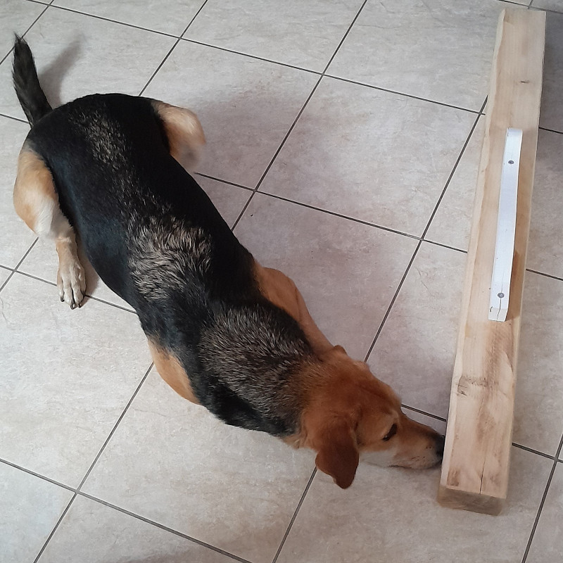 Gegenstandssuche 2