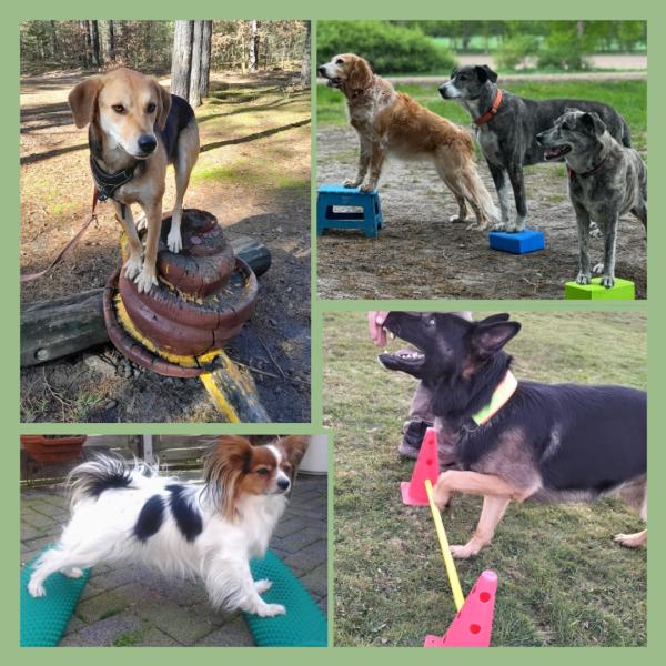 Bewusste Bodenarbeit