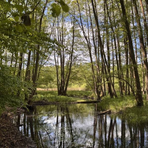 Wanderung Biesenthaler Becken
