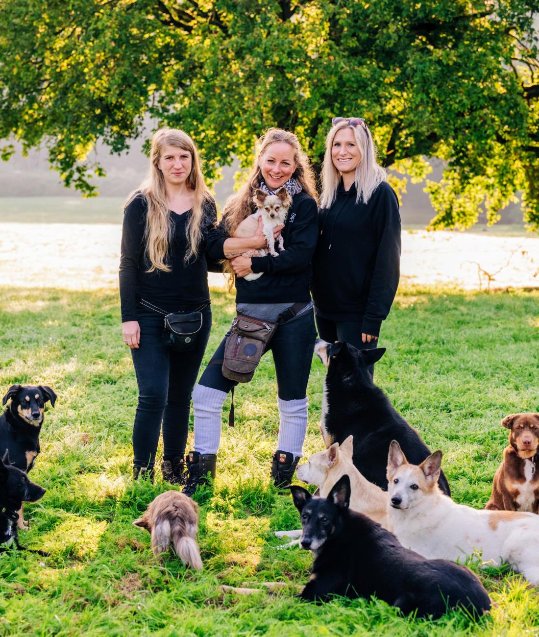 Training für Mensch und Hund