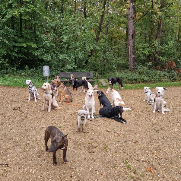 Social Walk Dienstag Brühl