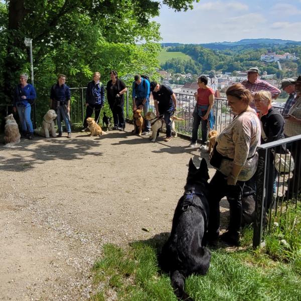 Social-Walk - Spezial (2 Std.)