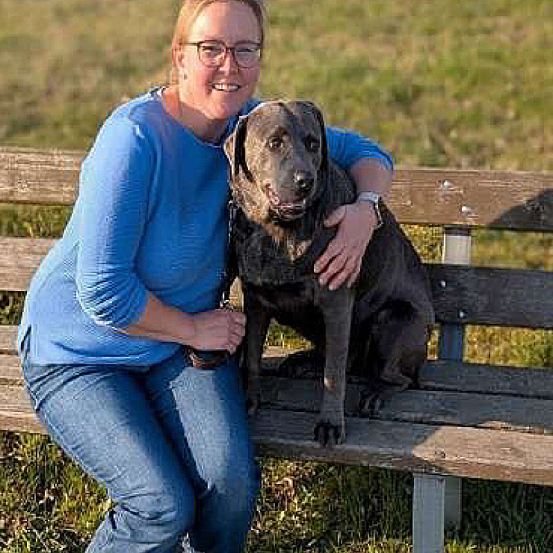 Abendseminar zum Thema Hundephysiotherapie