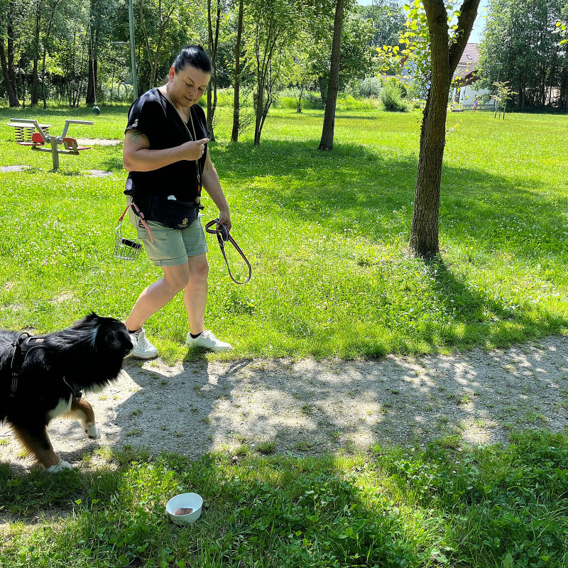 Einzeltraining aus Kurskontingent (ETKG)