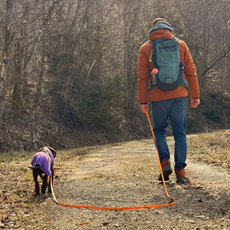 Schleppleinentraining - Workshop