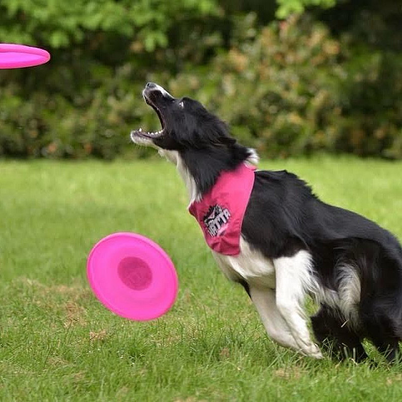 Frisbee Einsteiger Workshop