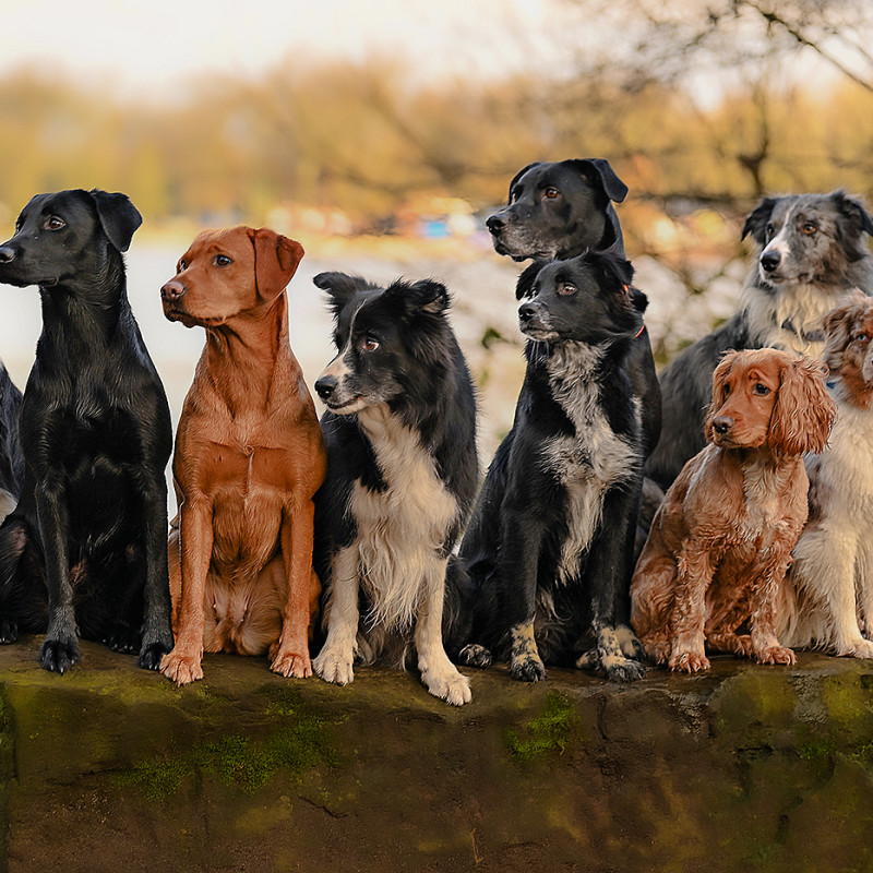Erziehung Sa. 10 Uhr