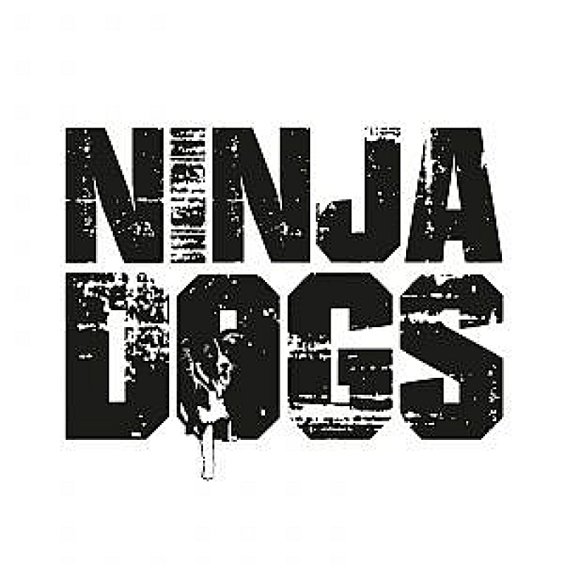 Ninjadogs Anfänger Workshop