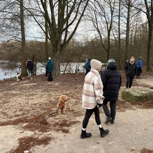 Social Walk ( nur an der Leine )