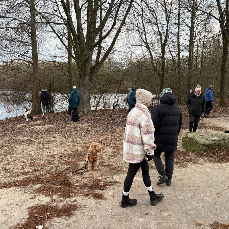 Social Walk ( an der Leine )