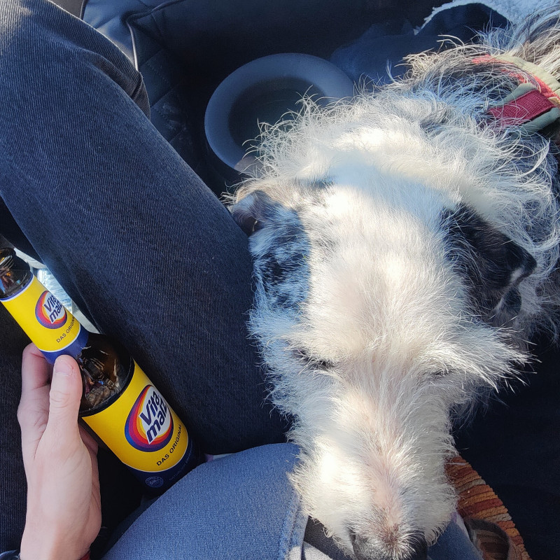 Alltagshelden Mo 15:30