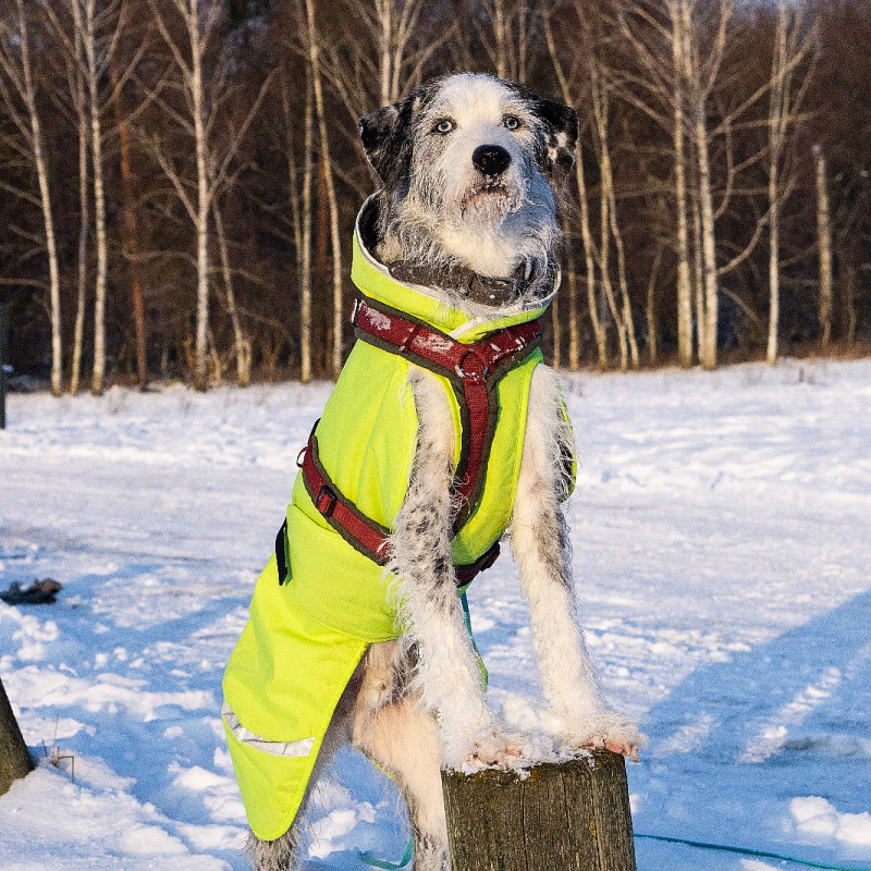 Muskel & Köpfchen Di 15:45