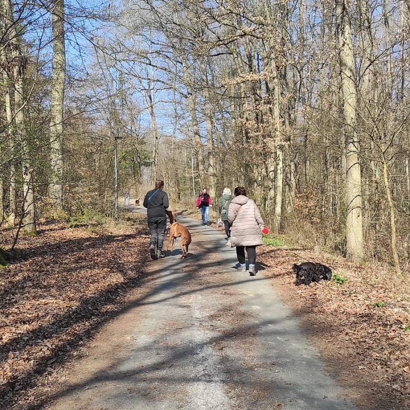 Hundewanderung Mai
