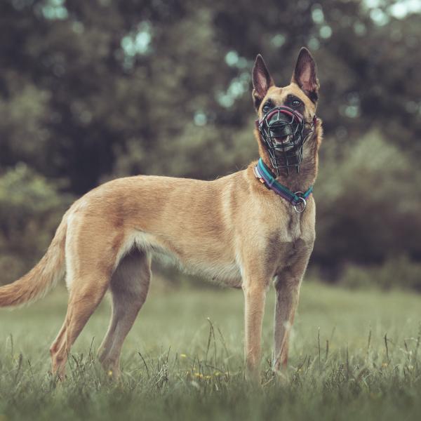 Social Walk mit Becci