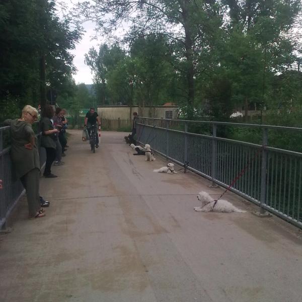 Grunderziehung Mittwoch 16Uhr