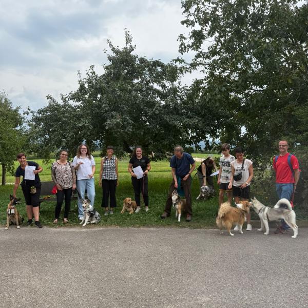 Erziehung leicht gemacht