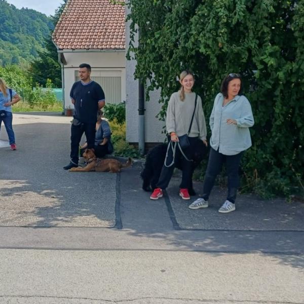 Erziehung II Samstag 15h30