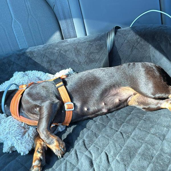 Silvesterangst Workshop Vortrag und praktische Übungen