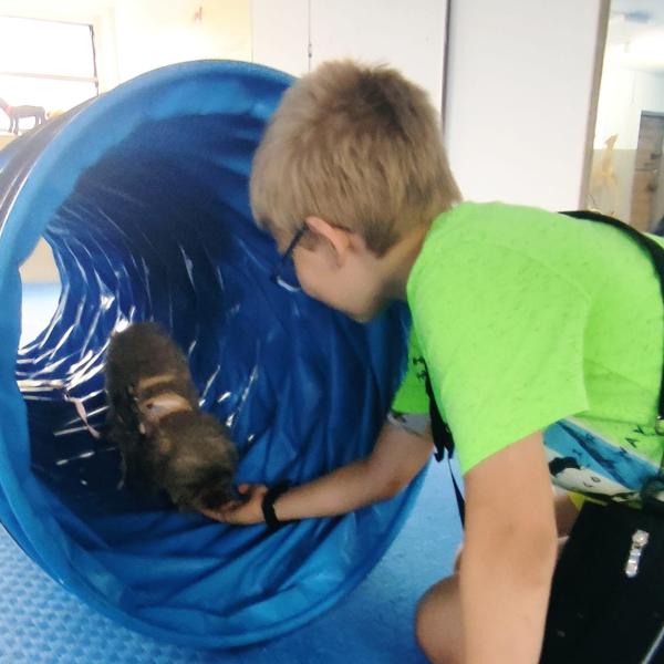 Kids Workshop - Rock with your Dog im Dezember