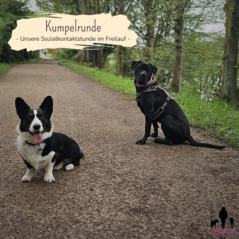 Kumpelrunde - Unsere Sozialkontaktstunde
