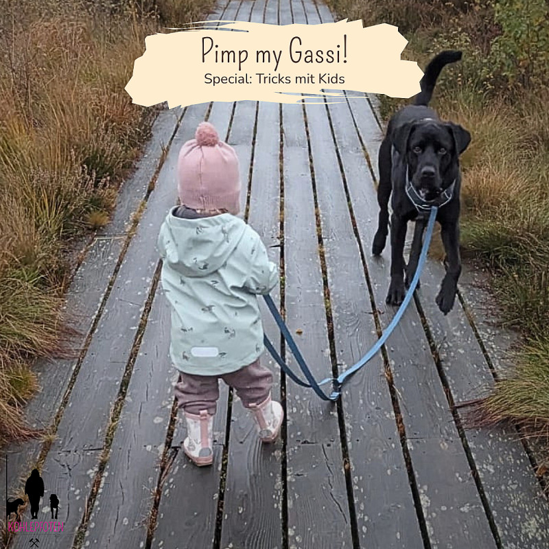 Pimp my Gassi! - Special: Tricks mit Kids 🐕