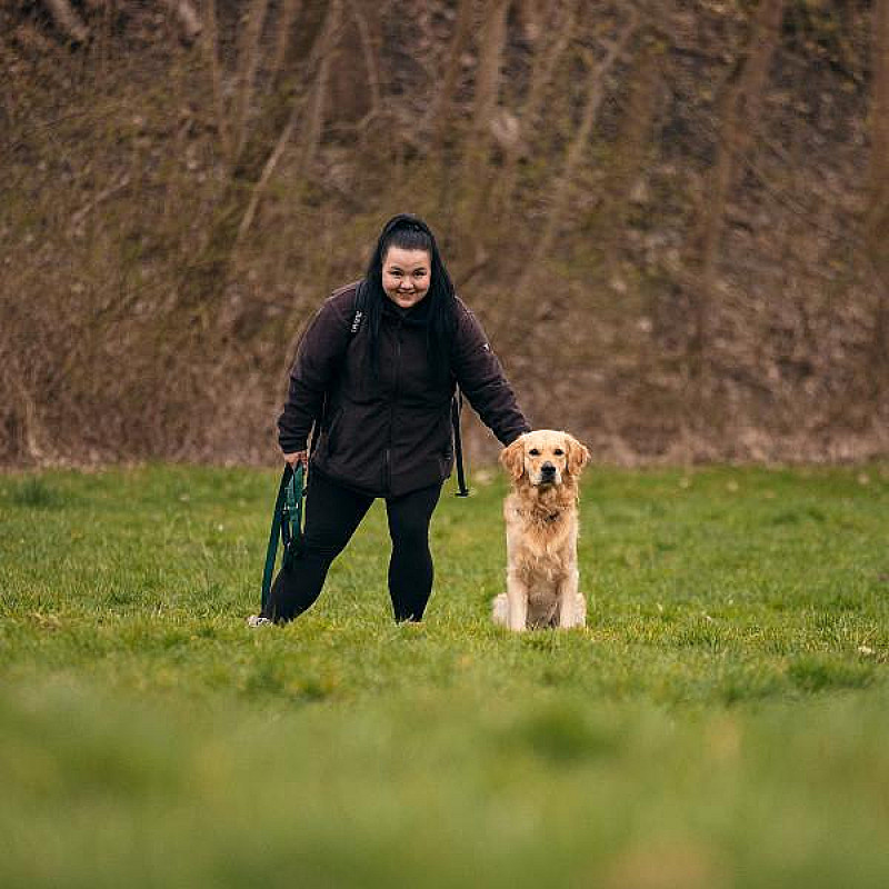 Social Walk (angeleint)