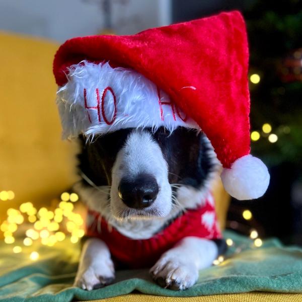 Adventswalk 🕯️🕯️🕯️