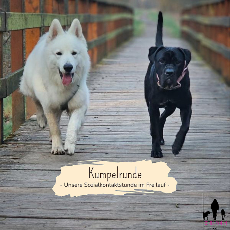 Kumpelrunde - Unsere Sozialkontaktstunde