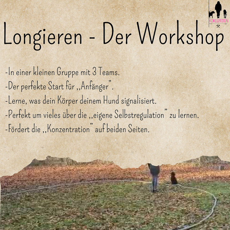 Longieren - Rundherum für Einsteiger & Fortgeschrittene