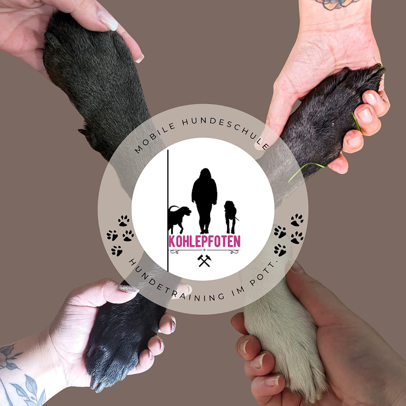 Wat machst du da eigentlich am Hund?