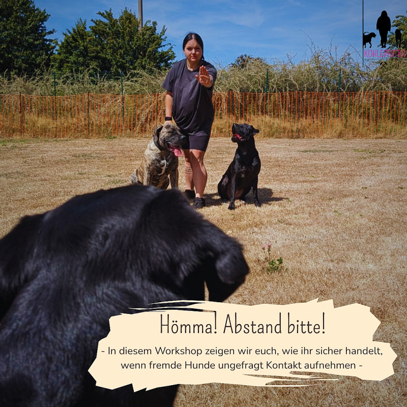 Workshop: Hömma! Abstand bitte! ✋